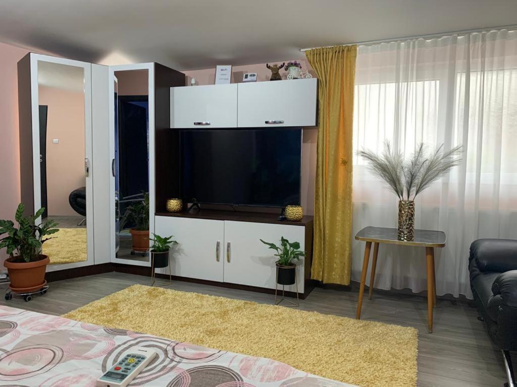 Апартаменти Garsoniera Madalina Сібіу Екстер'єр фото